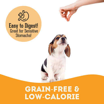 a dog sitting waiting for a treat with descriptors for the treat in orange at the bottom of the image
