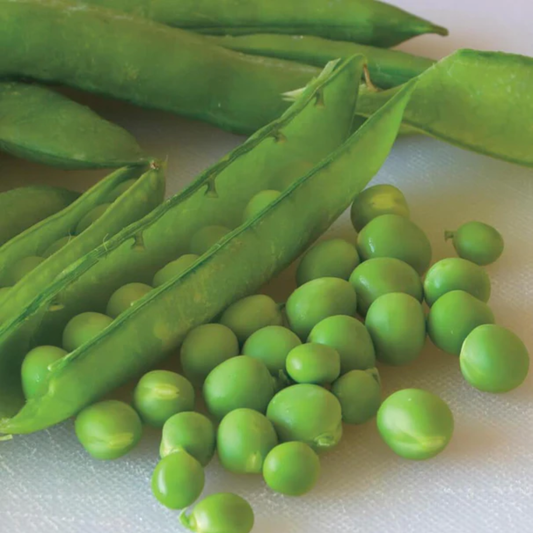 many loose green peas next to green pods of green arrow peas