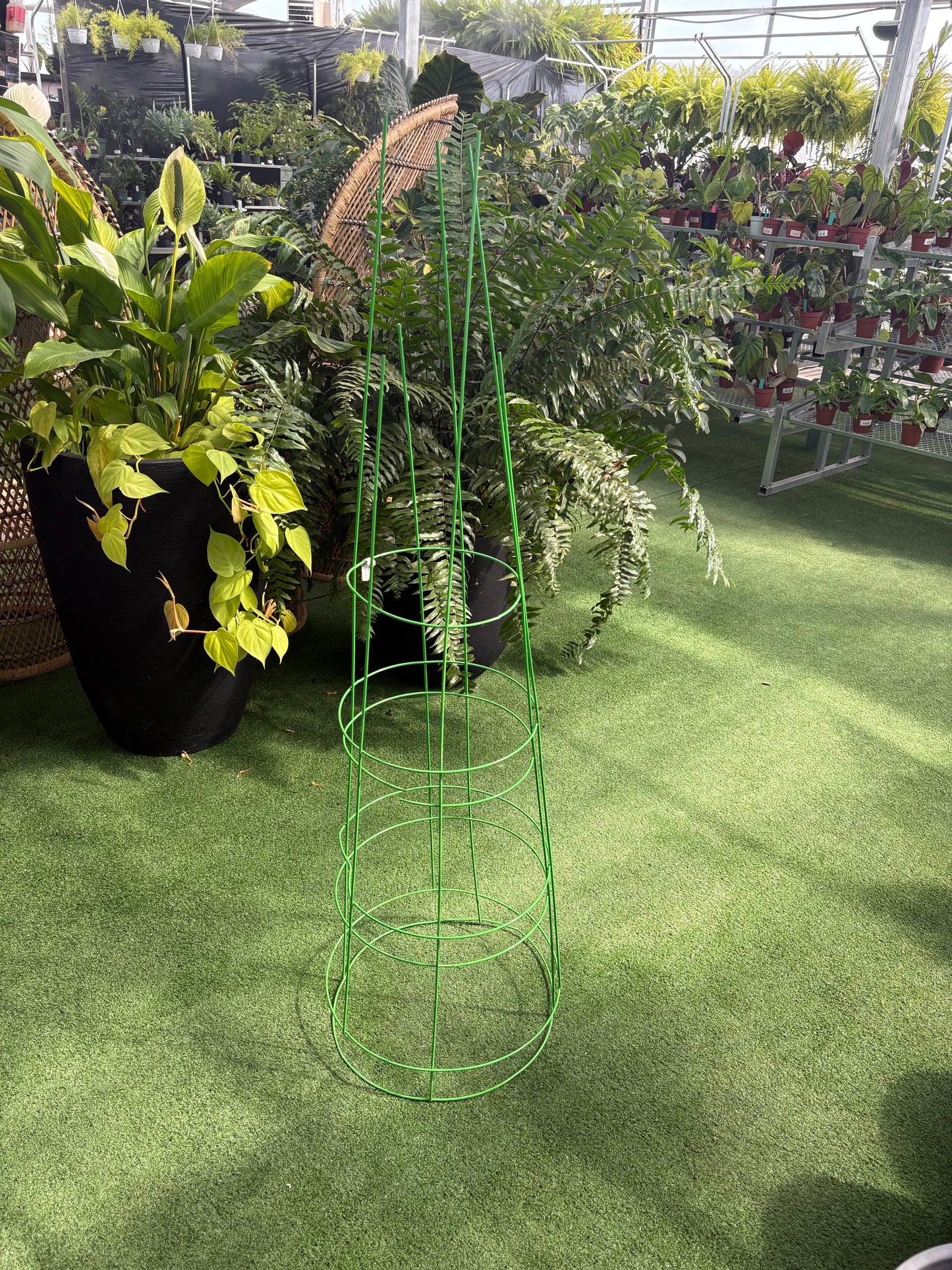 green metal tomato cage resting on a grass like surface