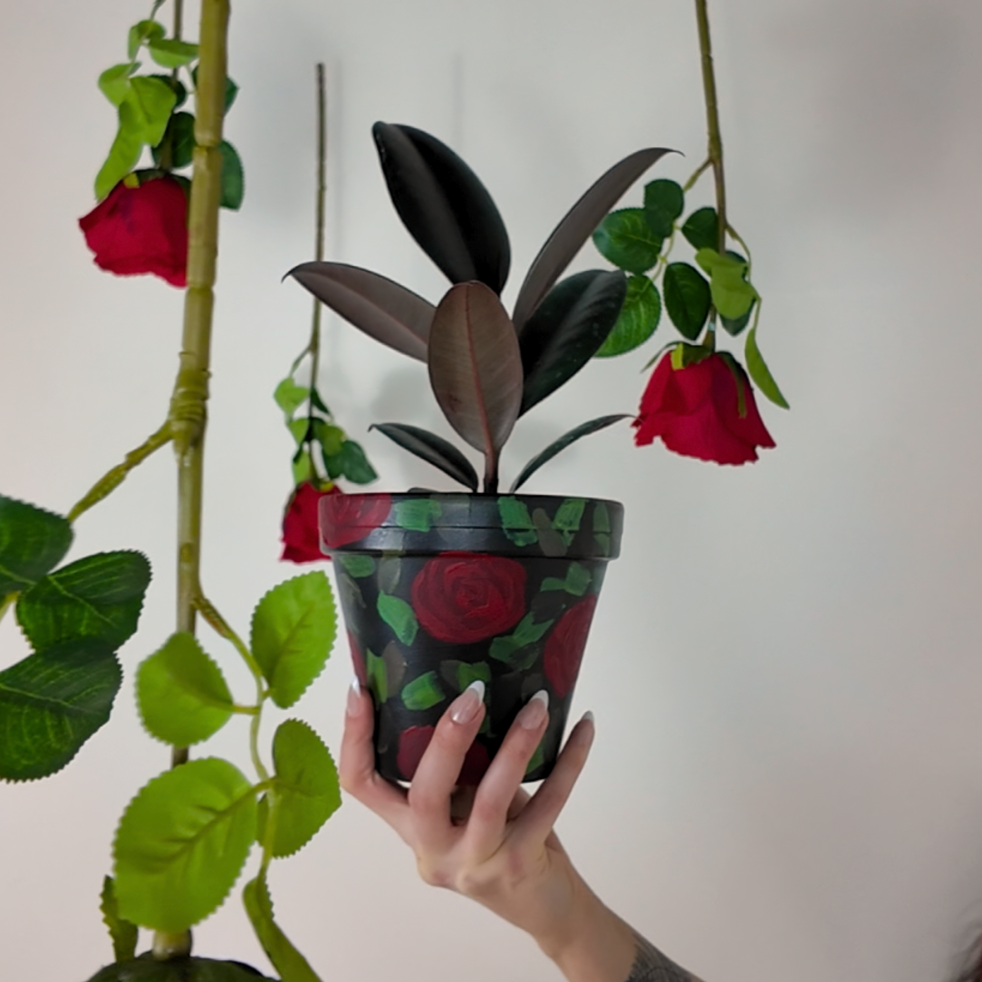 Hand holding a potted plant with red rose design against a white background