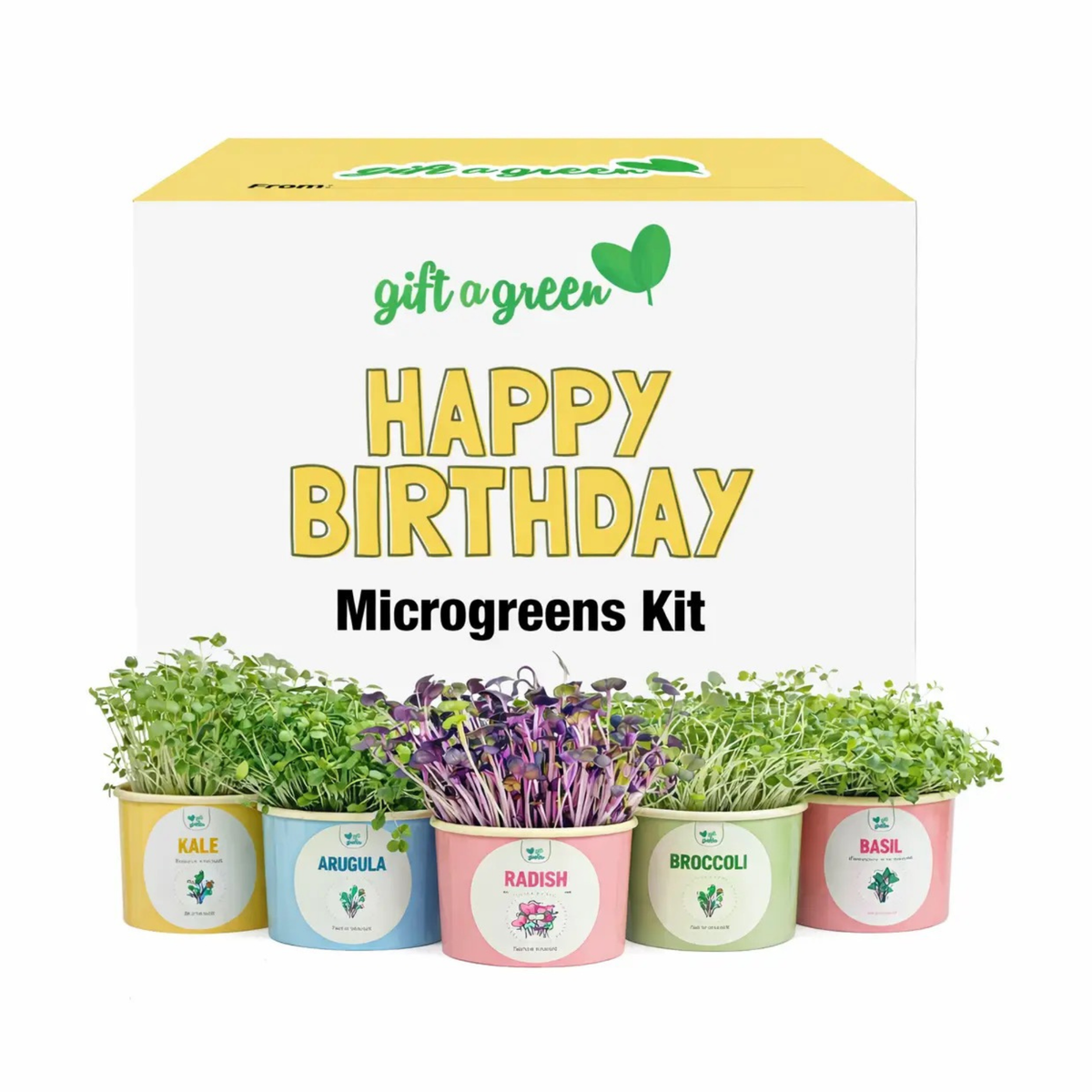 an image of the happy birthday  microgreen gift box set with a row of colourful pots sitting infront of it with microgreens growing out of them on a white background 