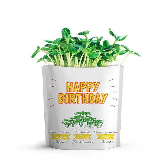 a white package with yellow text that reads 'HAPPY BIRTHDAY' with bright green foliage of sunflower micro greens growing from the top of the package against the white background