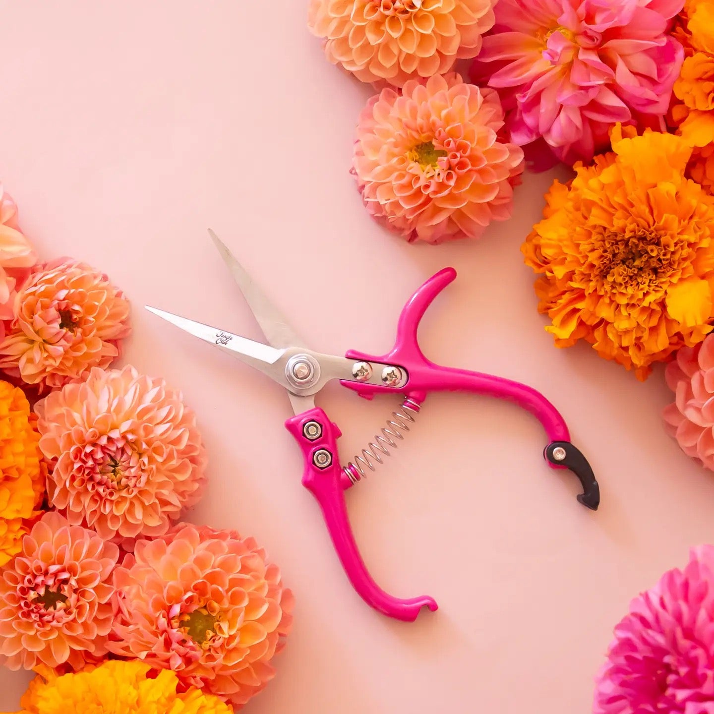an open pair of bright pink pruning shears next to vibrant flowers on a white background