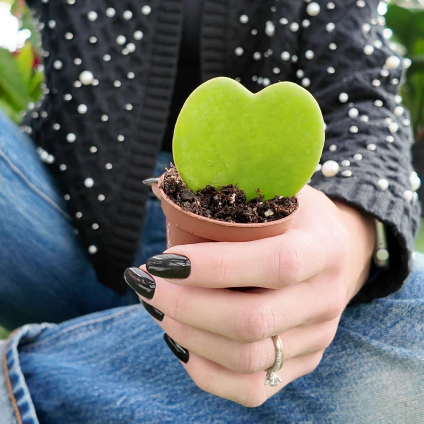 Heart-shaped green plant held by a person wearing a black jacket with white polka dots and blue jeans.