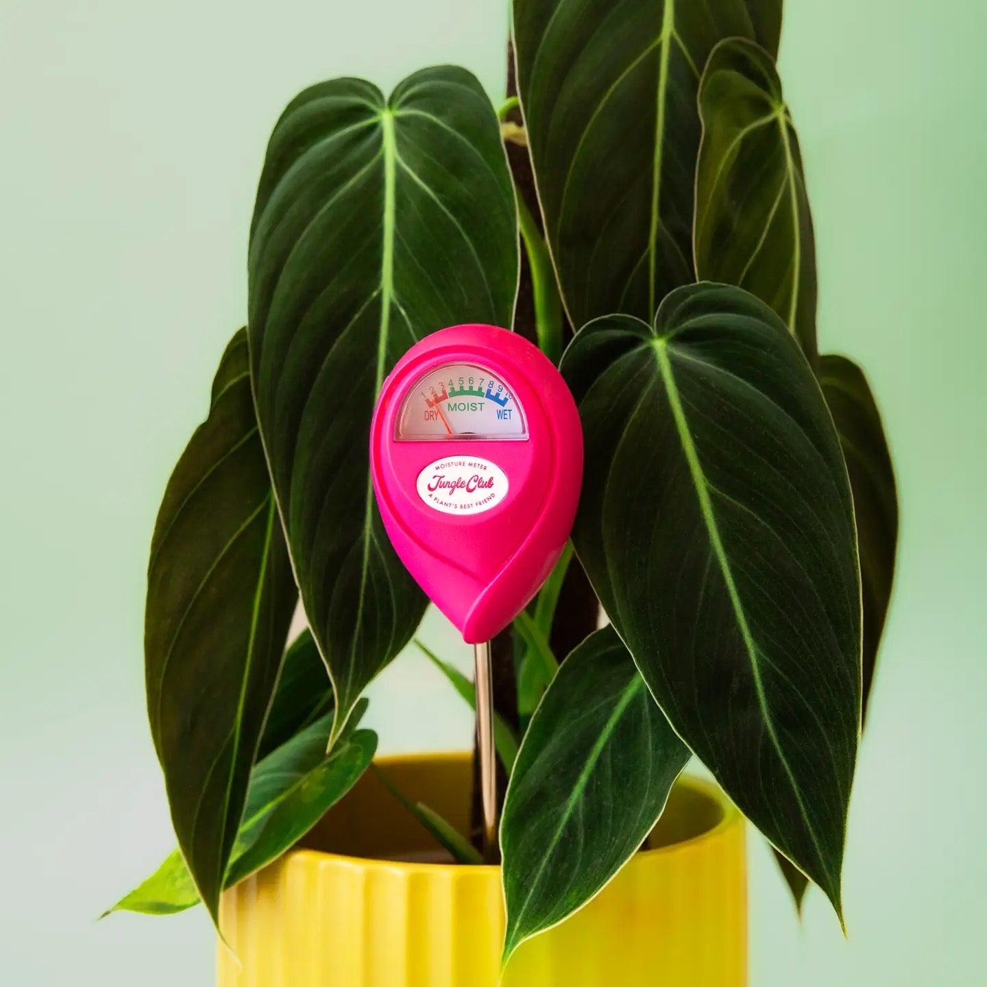 a bright pink moisture meter in a yellow pot with a bright green plant