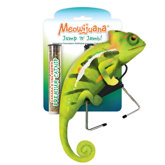 chameleon toy with white background