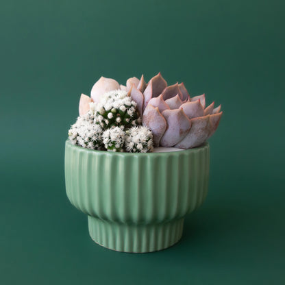 Plant Arrangement Workshop – Lethbridge