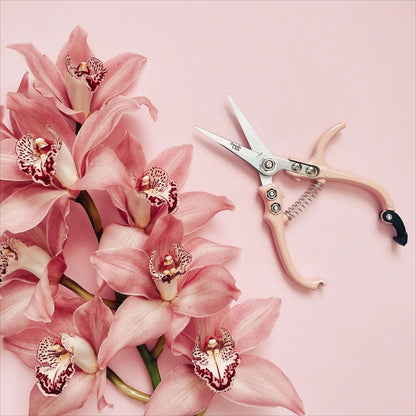 an open pair of pale pink pruning shears next to a pink orchis plant