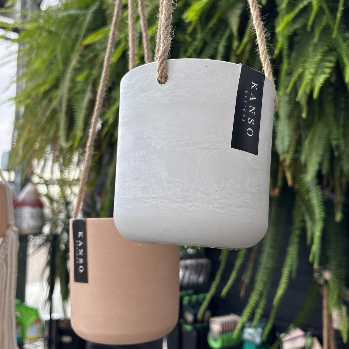 two four inch hanging pots one white and one a peach colour with a black label that reads Kanso designs hanging with twine like rope with many green ferns in the background