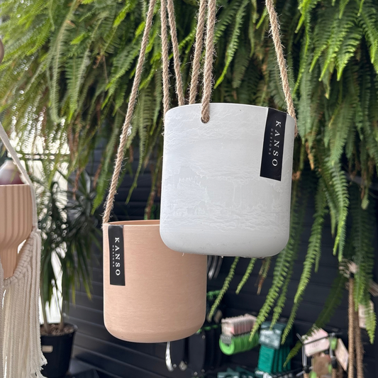 two four inch hanging pots one white and one a peach colour with a black label that reads Kanso designs hanging with twine like rope with many green ferns in the background