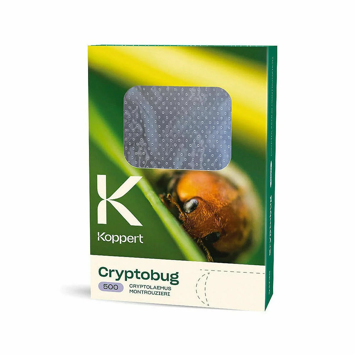 a green box package of 500 koppert cryptobugs with a close up of a bug on the package with the box against a white background