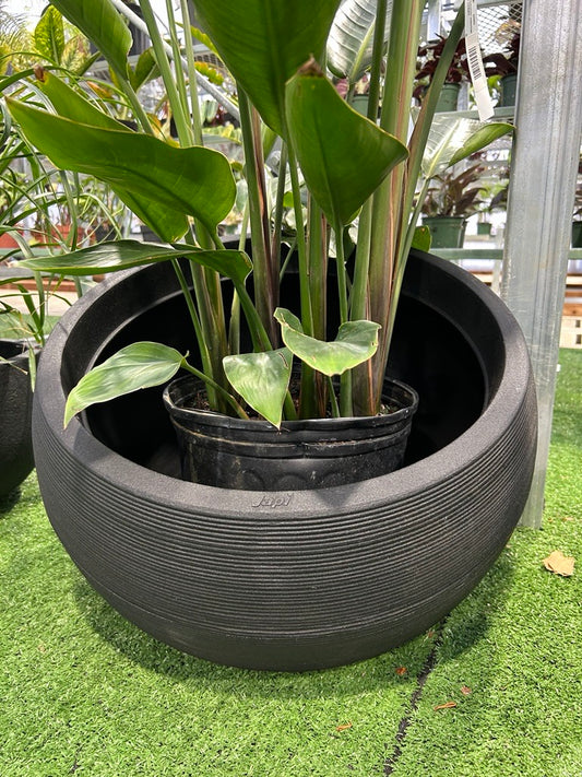 A matte black Lattice Linea planter with a subtle lattice design, containing several green plants, displayed on a grass-like surface.