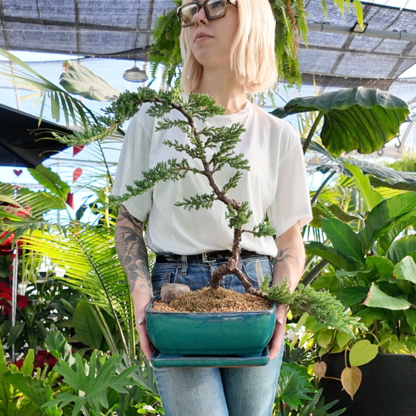 Person holding a bonsai tree in a pot surrounded by greenery
