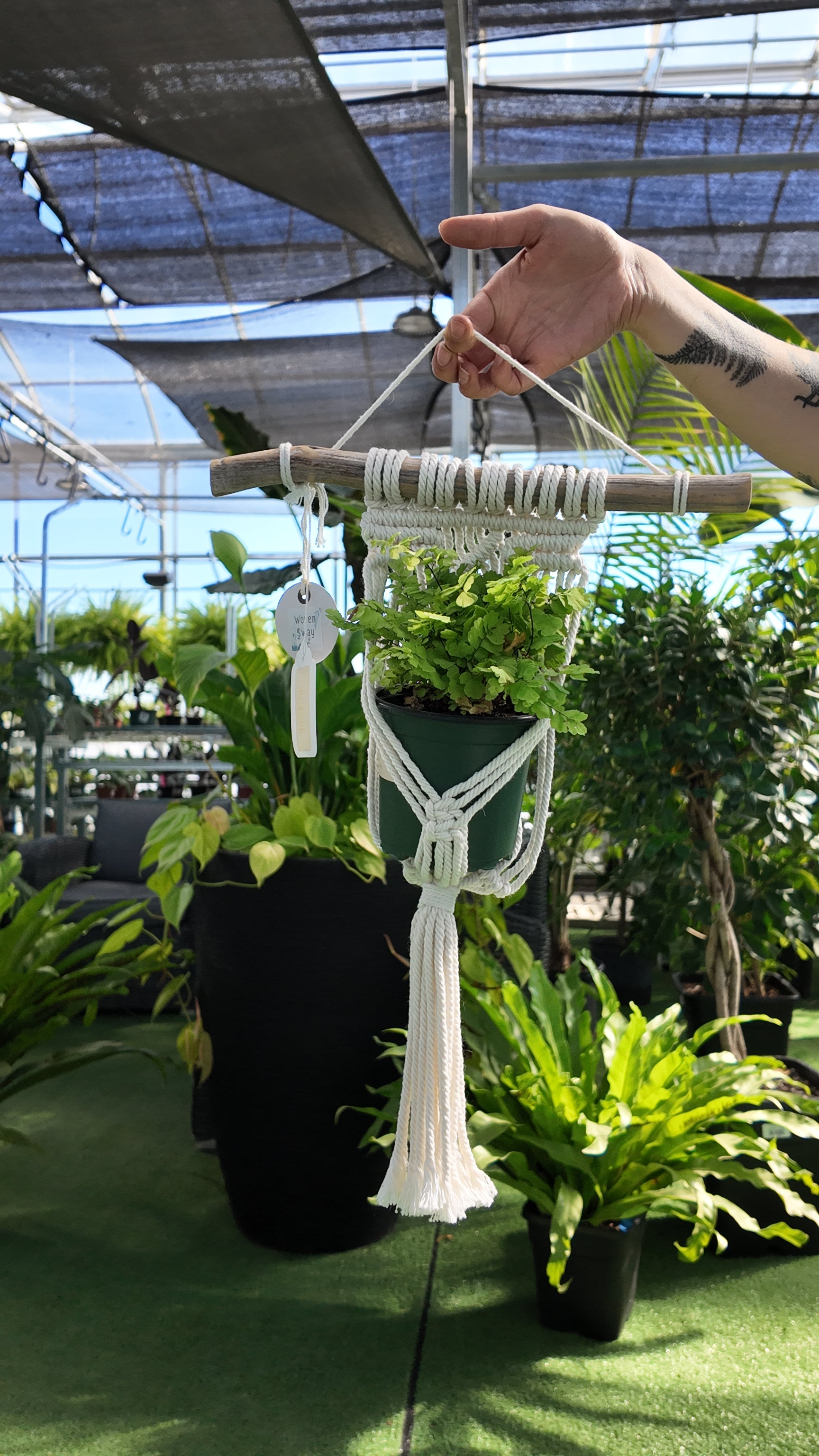 Hand holding a macrame plant hanger with a potted plant in a greenhouse setting
