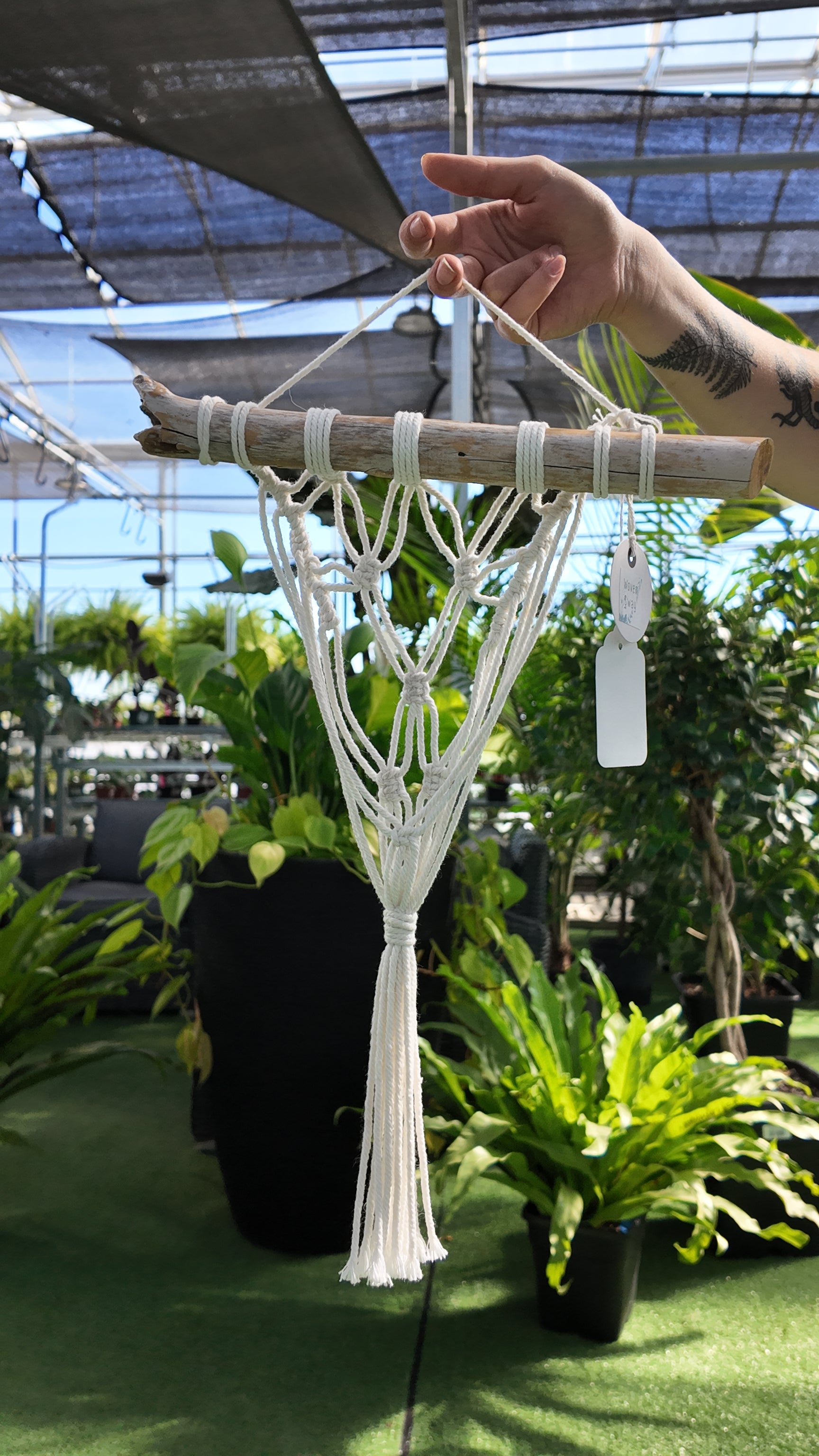 Hand holding a macrame plant hanger with plants in the background