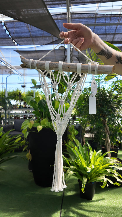 Hand holding a macrame plant hanger with plants in the background
