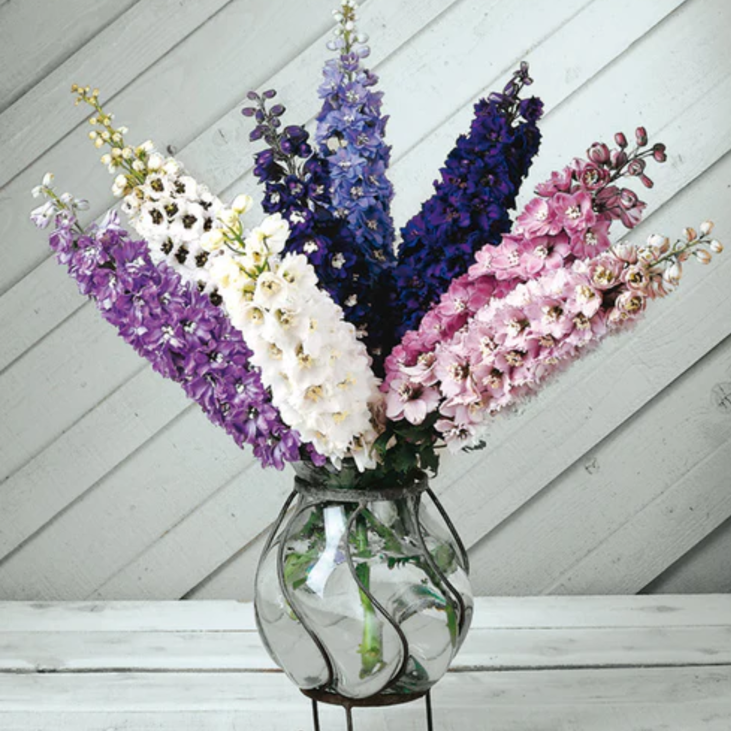 a bouquet of pink purple and blue magic fountain flowers