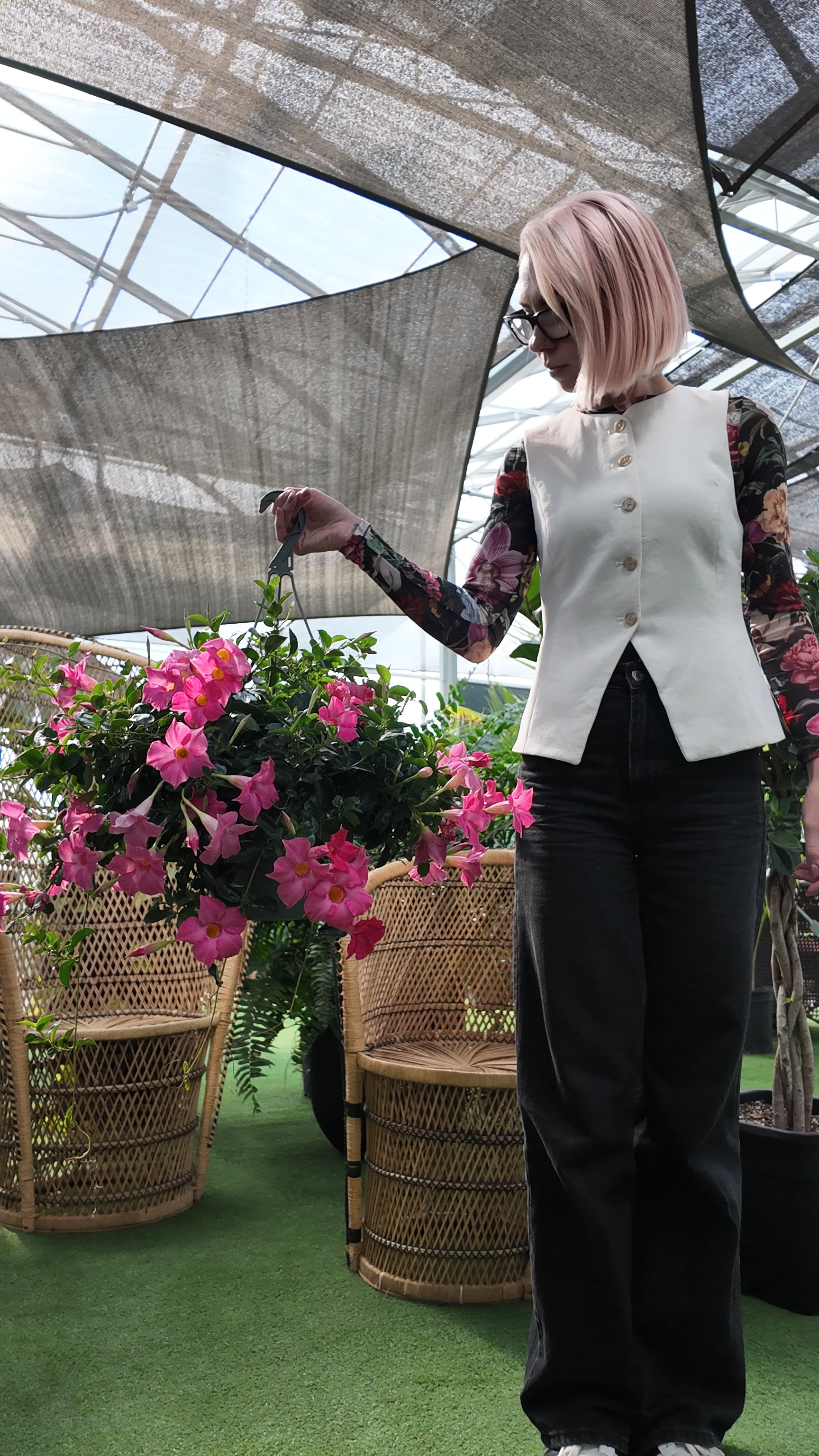 a person holding a hanging basket of mandevilla flowering plant in a green house setting with a blurred background