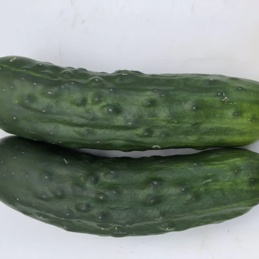 a close up of two bright green marketmore organic cucumbers against a white background