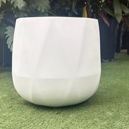 a close up of a bright matte white geometric outdoor planter in a greenhouse setting