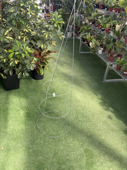 metal tomato cage resting on a grass like surface