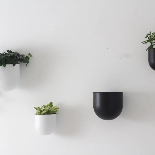 A collection of metal wall planter pots in various colors including black and white, mounted on a wall with plants inside.