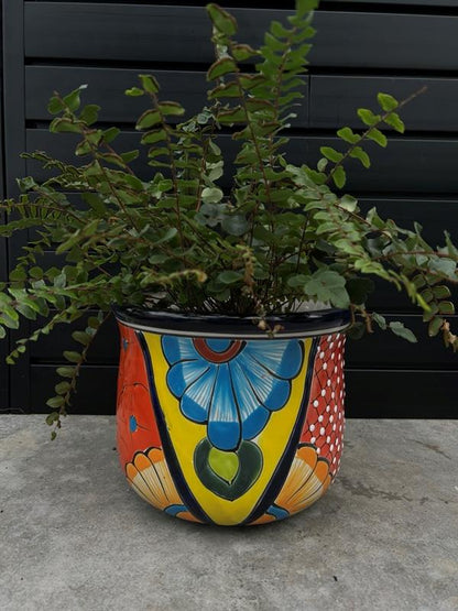 mexican style ulit-coloured planter with green fern planted inside