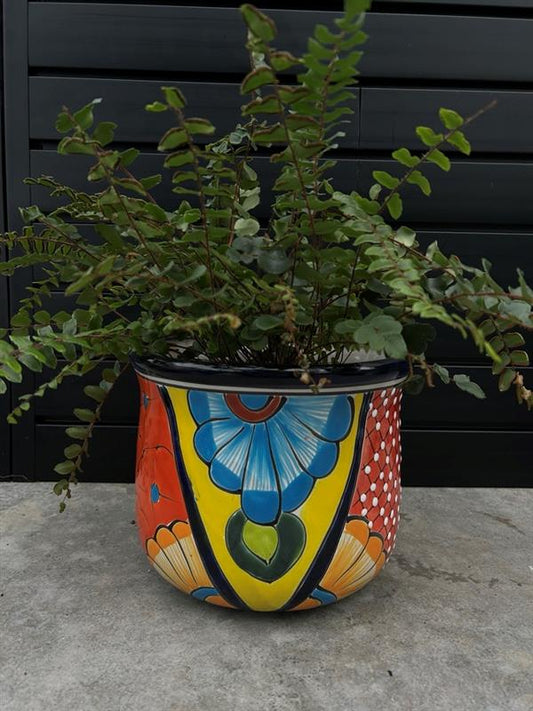 mexican style ulit-coloured planter with green fern planted inside