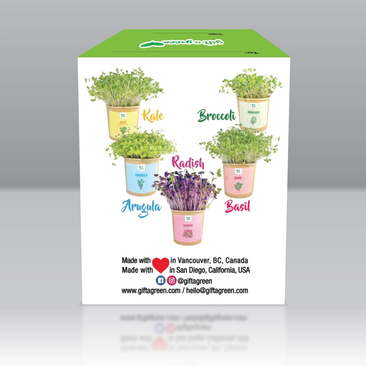 an image of the size of the microgreen gift box that says it includes kale, radish, broccoli, arugula and basil micro greens 