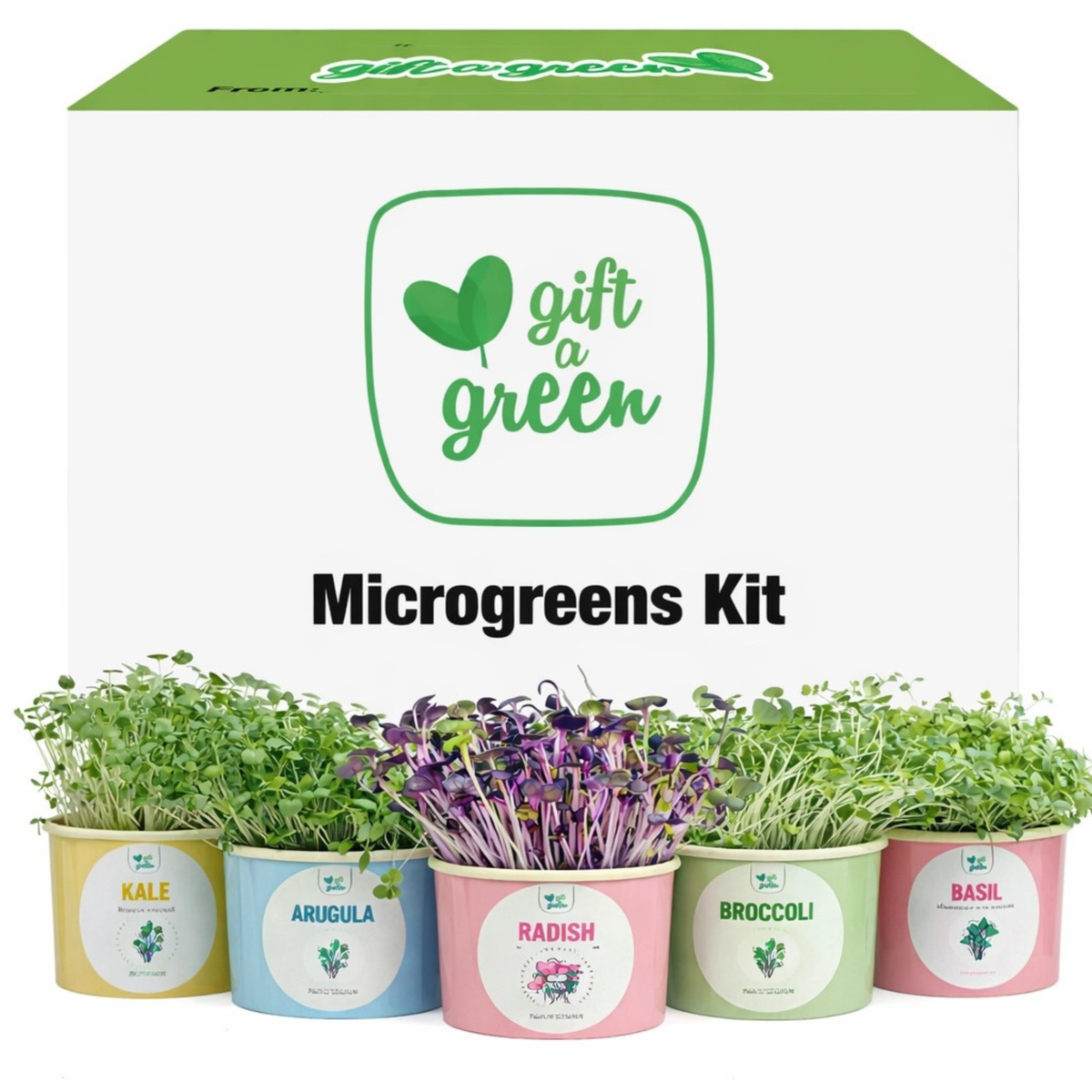 Gift a Green Microgreens Kit with a white and green box behind six small colorful pots of different microgreens including kale, arugula, radish, broccoli, and basil.