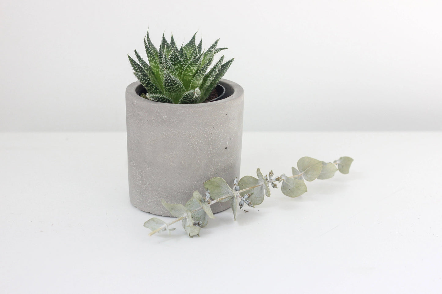 A small concrete cylinder planter with a succulent plant inside, placed on a white surface with a decorative eucalyptus branch beside it.