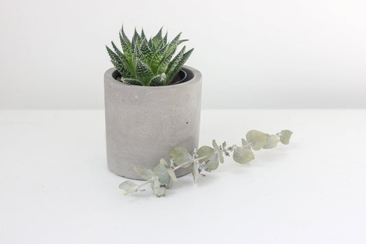 A small concrete cylinder planter with a succulent plant inside, placed on a white surface with a decorative eucalyptus branch beside it.