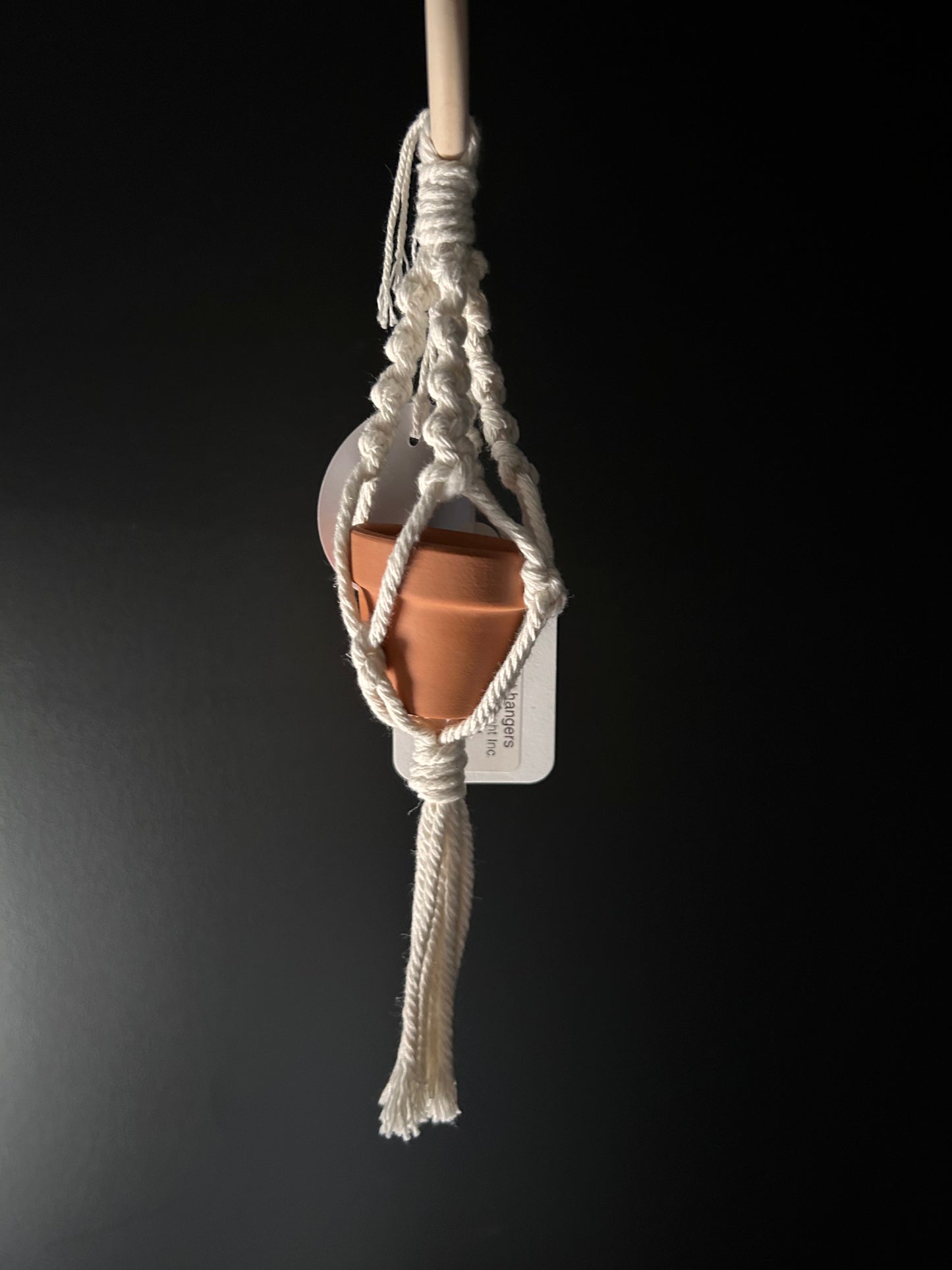 a mini macrame plant hanger holding a small pot