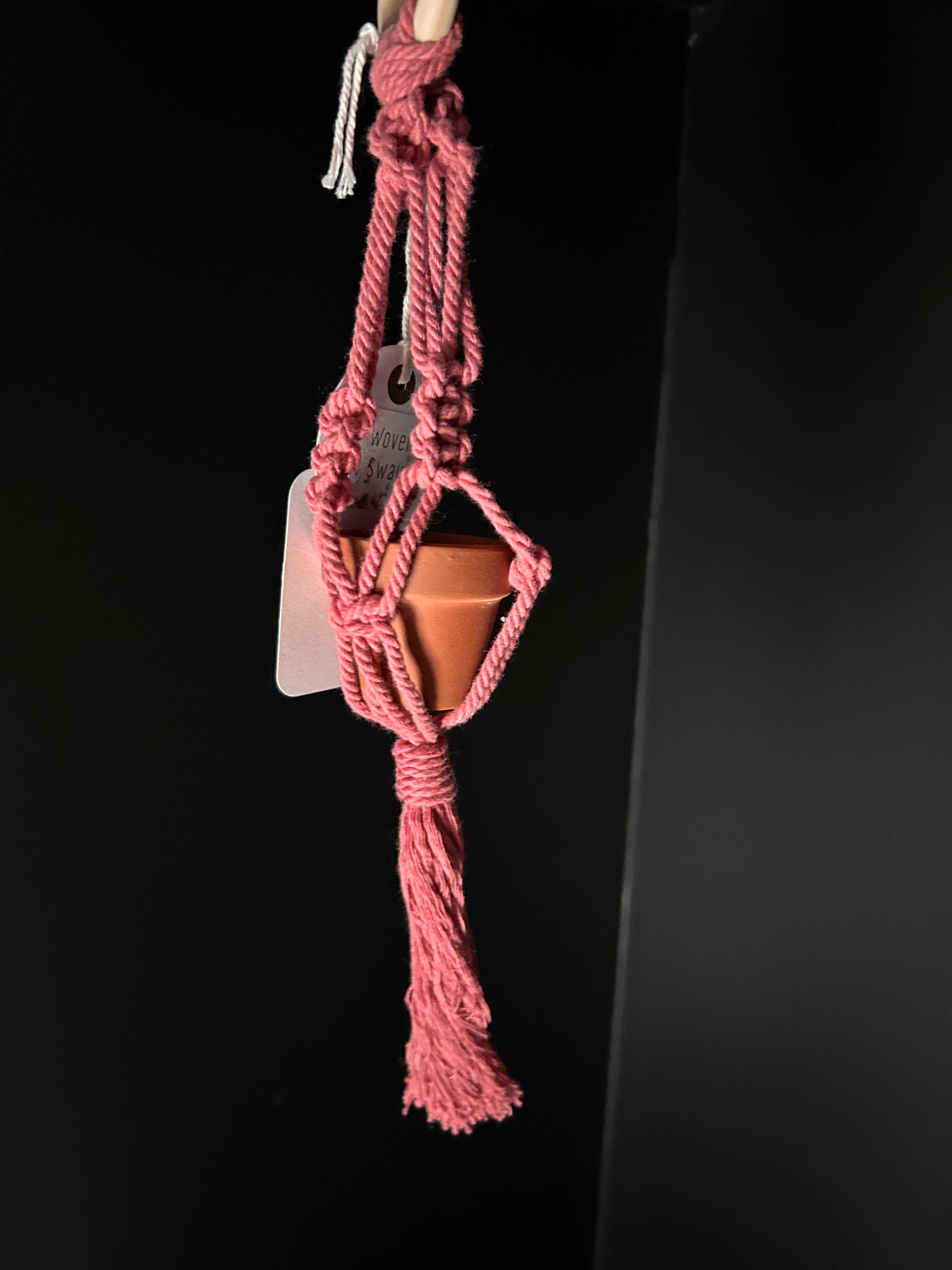 pink mini macrame plant hanger holding a small pot