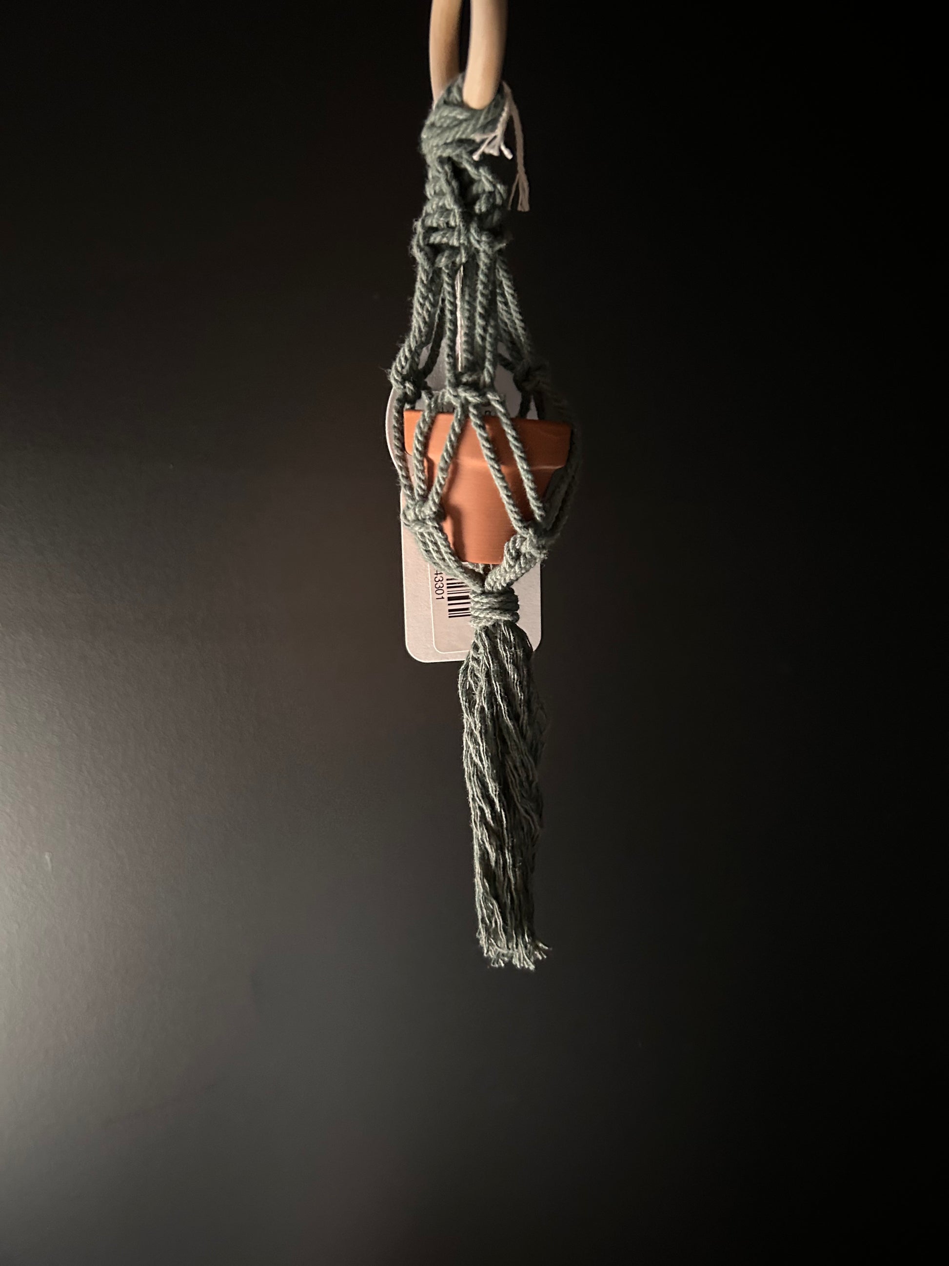 a green mini macrame plant hanger holding a small pot