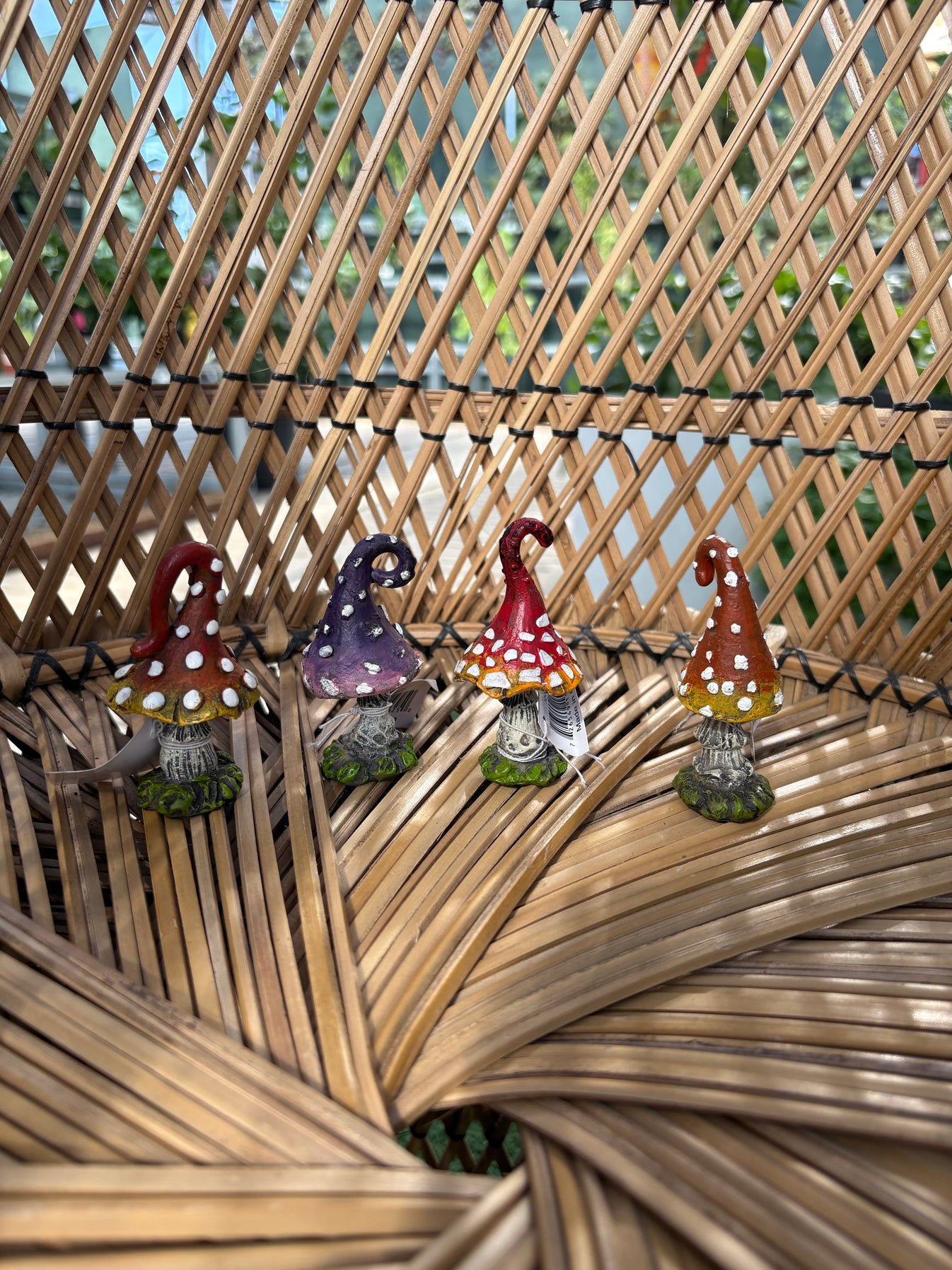 Mini Toadstools β Urbane Eight Inc.