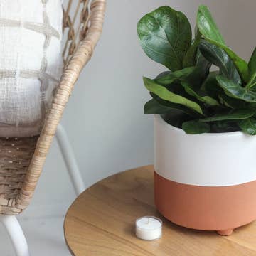 a white ceramic an terracotta coloured bottom pot resting on a table
