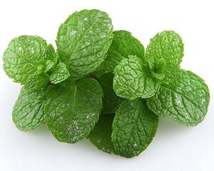 Fresh green mint leaves on a white background