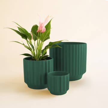 Monroe Planter – Rainforest Edition Indoor Plant Pot