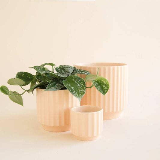 A set of beige ceramic planters in three different sizes, with the smallest two containing greenery. The planters have a smooth satin finish.