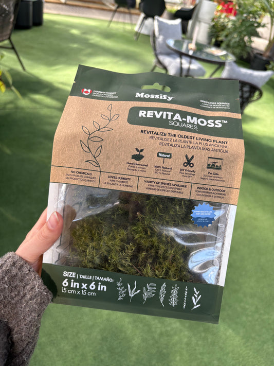 Package of Revita-Moss soilless living landscape material held by a person in a greenhouse.