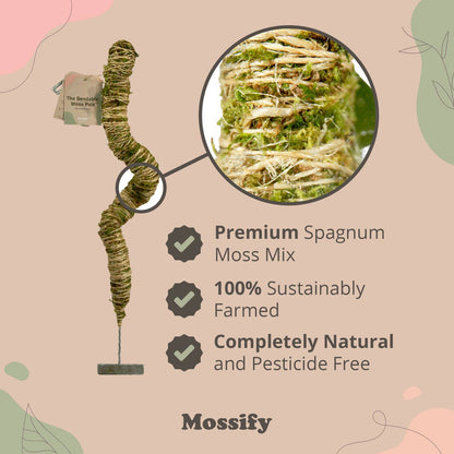 a detailed look at a bendable moss pole