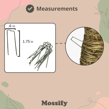 stainless steel plant pins with a sizing description on .6in and 1.75 in next the an image of a in going into a moss pole