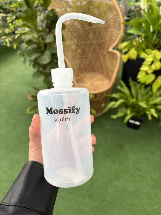 Hand holding a 'Mossify' squirt bottle with a long nozzle against a green background.