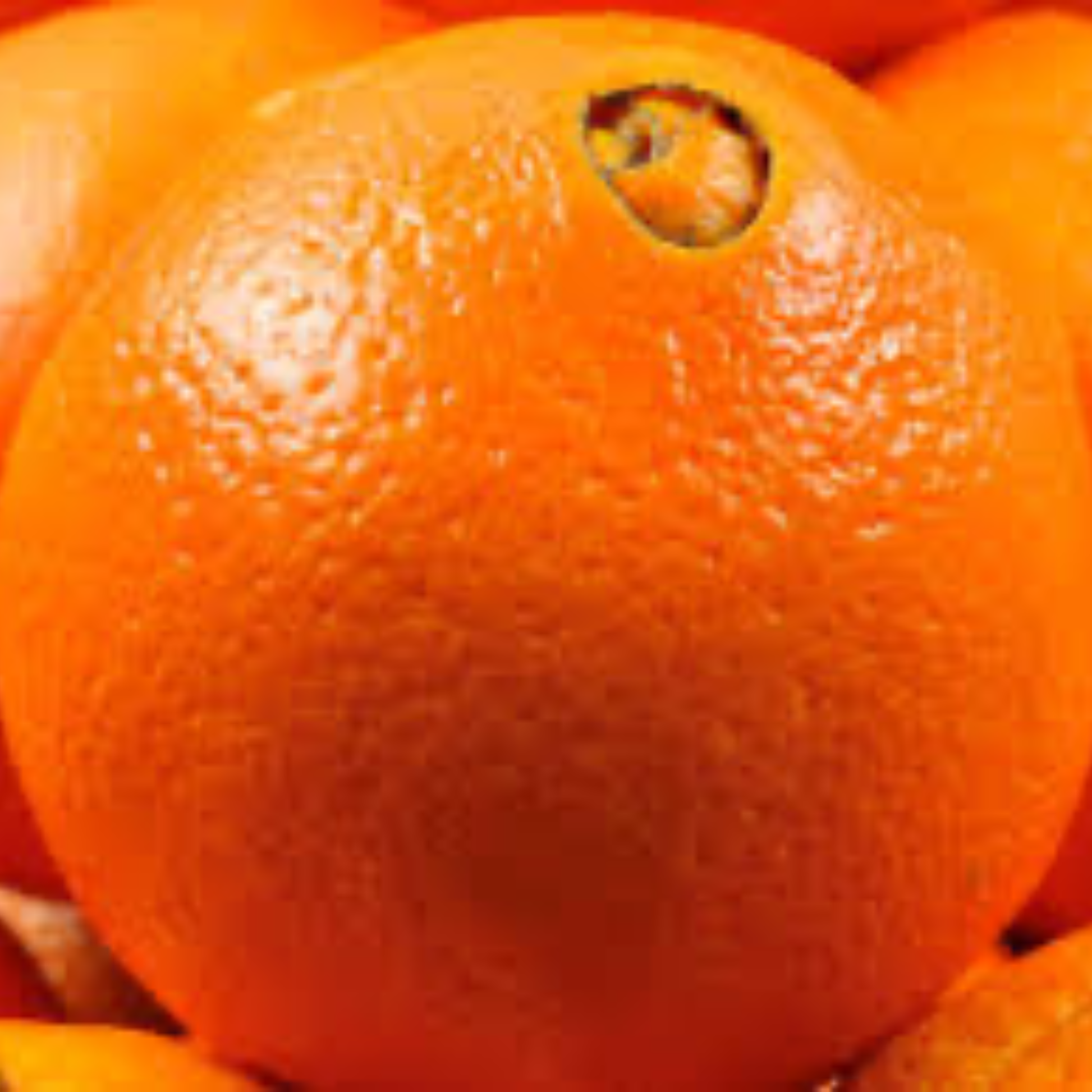 a close up of a brightly coloured navel orange