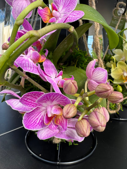 a pink orchid on a metal stand resting on a black surface