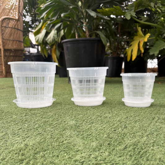 a set of three clear pots with saucers with holes throughout the pot resting on a grass like surface in a greenhouse setting
