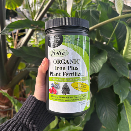 a person holding a black container labeled organic iron plus plant fertilizer with plants in the background