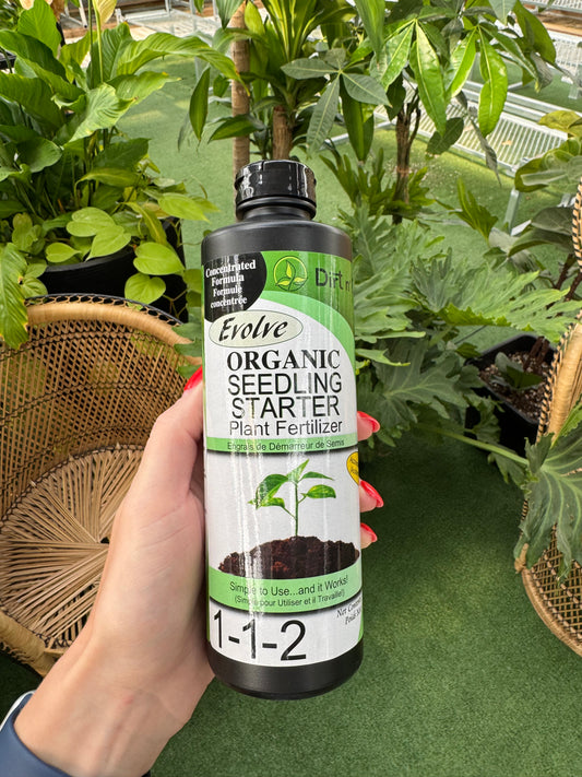 a picture of a Romans hand holding a organic seedling starting fertilizer bottle from evolve 