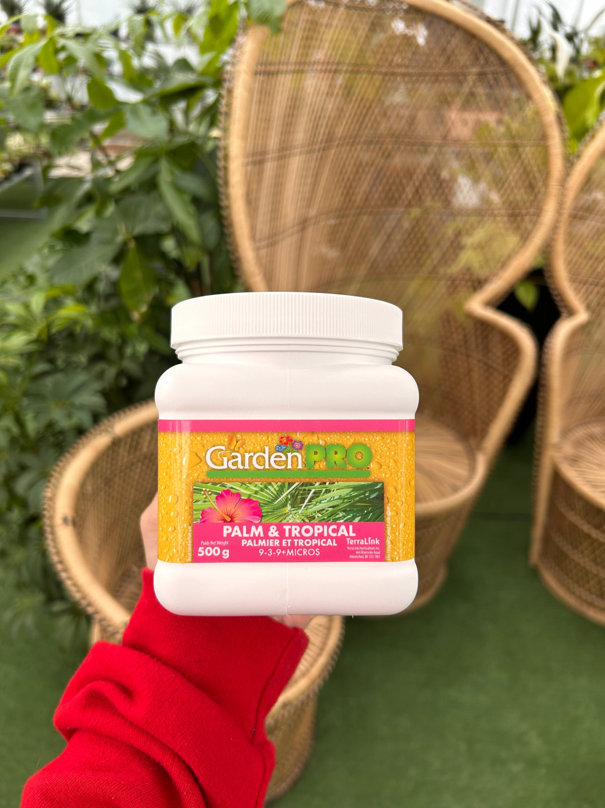 Container of garden pro palm and tropical plant food held by a person with plants in the background